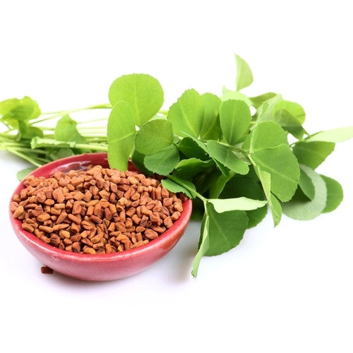What are fenugreek benefits for breastfeeding and increase of milk supply