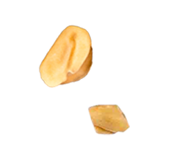 image of fresh fenugreek nuts